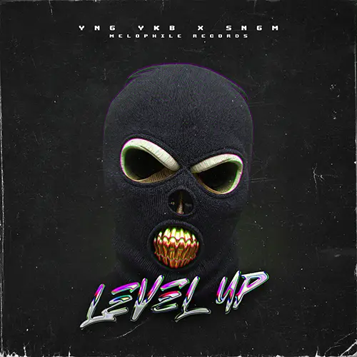 Level Up album artwork